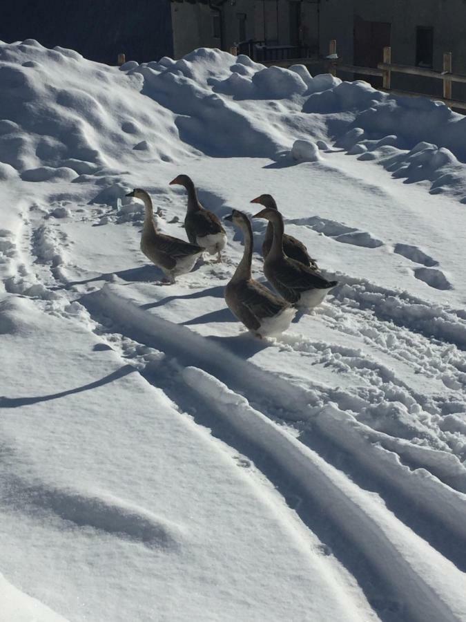 Relax Holiday Colle Colle Sestriere Екстериор снимка